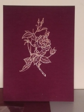 Zauber der Rose (cover 2)